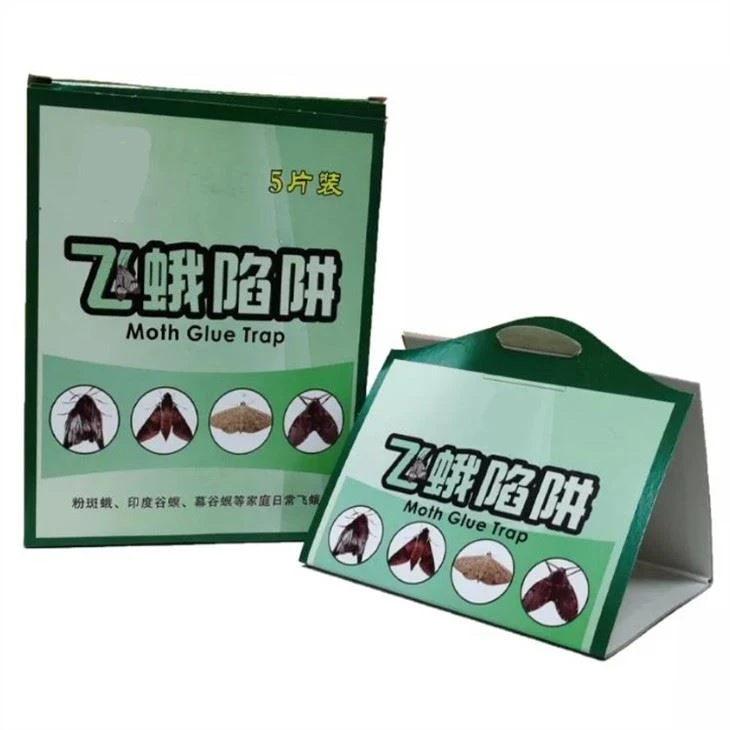 glue trap for moth